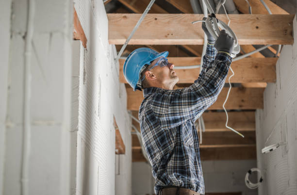 Best Ceiling Fan Installation Electrician  in Centreville, MD
